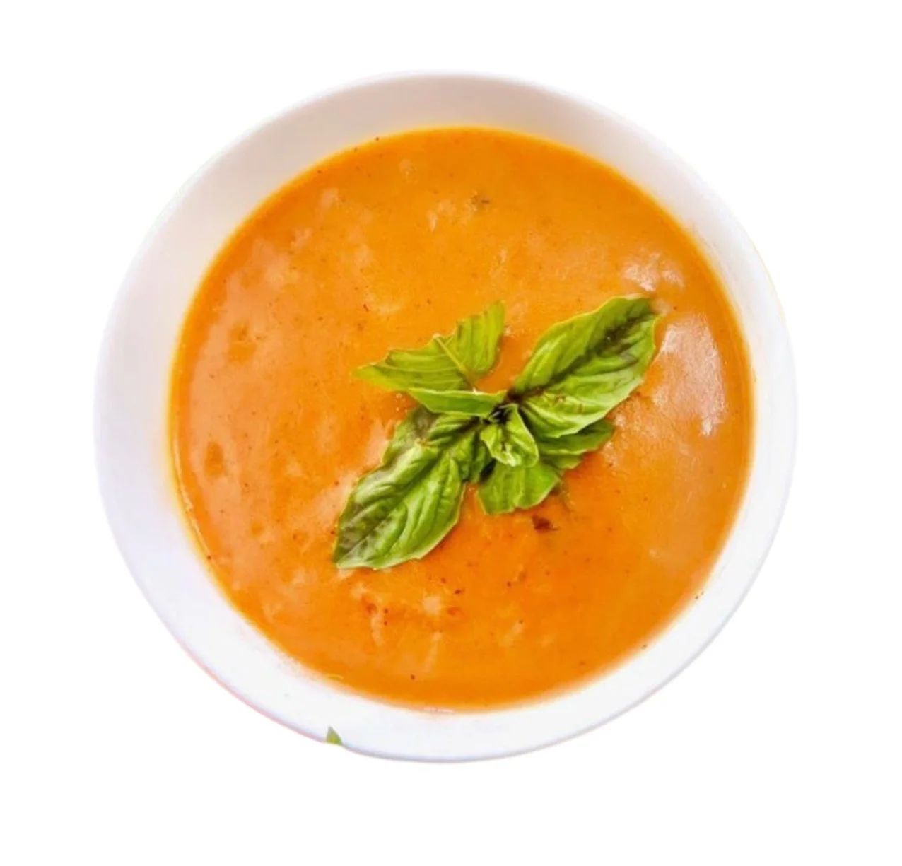 Soup of the Day (Bowl)